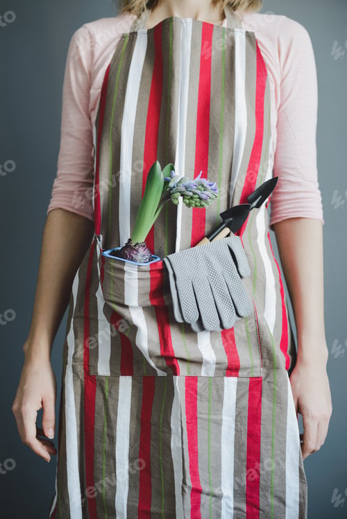 Preview: woman stands in striped apron with hyacinth and small metal shovel