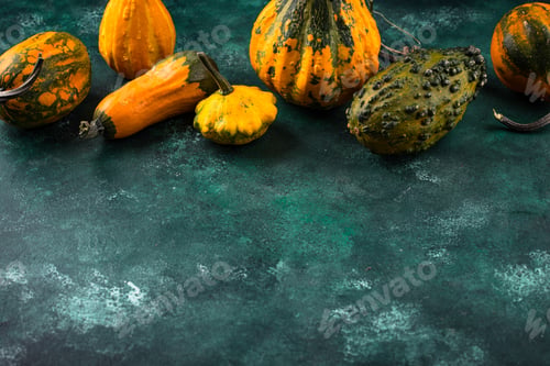 Preview: Various decorative pumpkin on green background