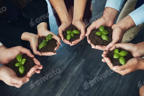 Preview: Grow your business from the ground up