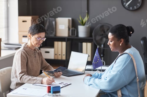 Preview: Young African American woman looking at mature female manager checking data