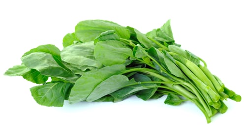 Preview: Chinese kale vegetable on white background