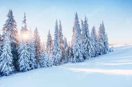 Preview: Fantastic winter landscape. Magic sunset in the mountains a frosty day. On the eve of the holiday