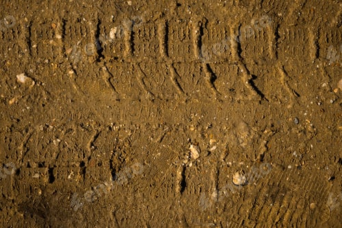 Preview: The texture of the track car.