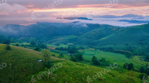 Preview: Beautiful sunset with green Terraced Rice Field in Chiangmai, Thailand