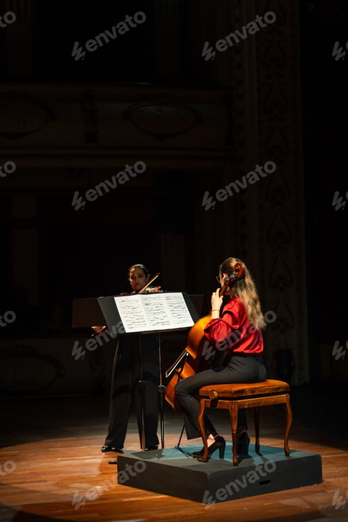 Preview: Classical music concert in the auditorium