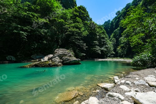 Preview: Wild bank of a mountain river surrounded by wild vegetation