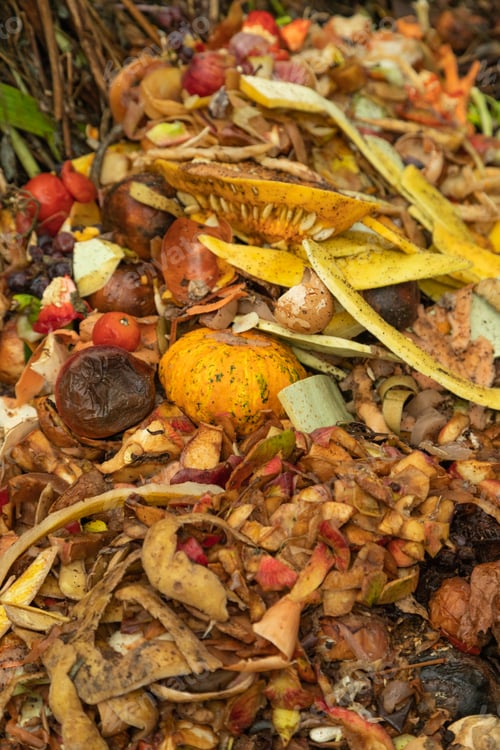 Preview: Compost pile made of organic food, leaves, vegetable and fruit waste mix