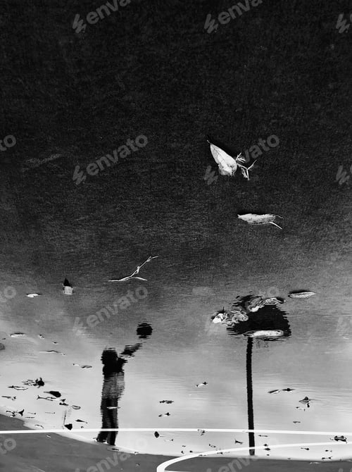 Preview: Basketball Reflection in a Puddle