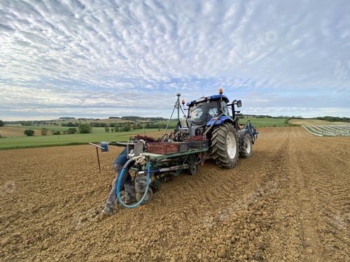 Preview: farmer and tractor for planting grape