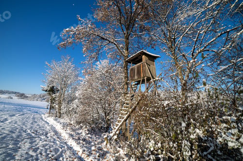 Preview: Hunting tower at the edge of the winter forest
