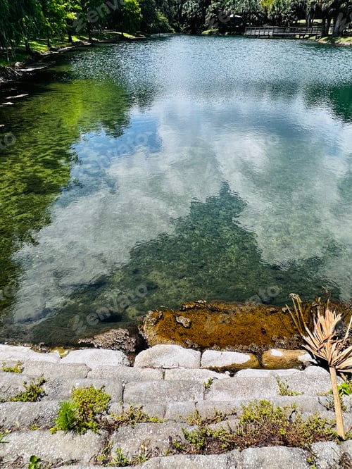 Preview: Reflections in the water.