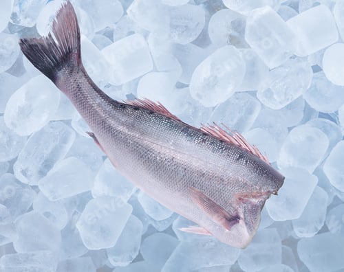 Preview: One frozen fish