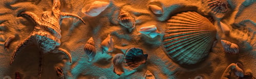 Preview: panoramic shot of seashells and starfish on sand with orange and blue lights