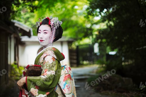 Preview: A woman dressed in the traeditional geisha style, wearing a kimono and obi, with an elaborate