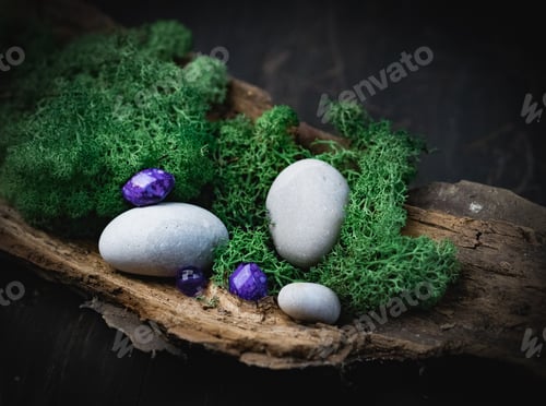 Preview: Three lilac natural stone lies in the bark of a tree with green moss and gray stones on a black