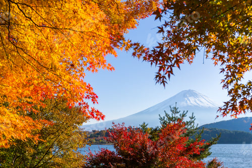 Preview: Lake kawaguchiko and Mt.Fuji in autumn season