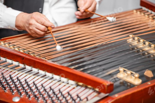 Preview: Traditional musical instrument