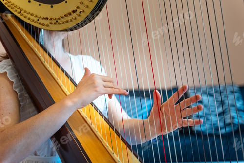 Preview: Woman play the harp during a symphonic concert. Close up on hands and strings.
