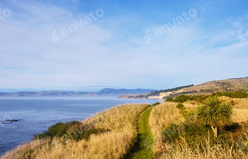 Preview: New Zealand coast