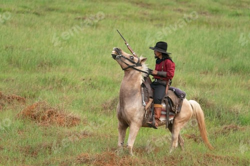 Preview: Cowboy on horse, Horse riding of cowboy in the farm.
