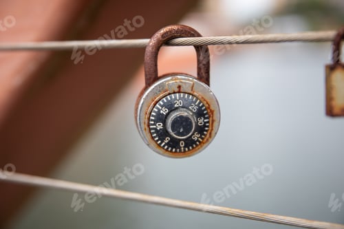 Preview: green leaves evergaldes water river lake water lilies florida