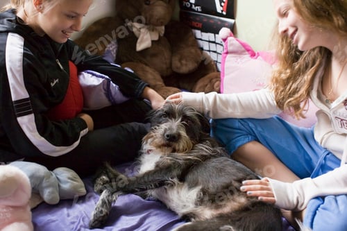 Preview: Teens petting family dog