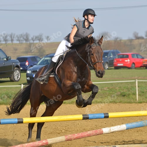 Preview: Equestrian Sport: Young Girl In Jumping Show