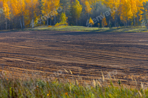 Preview: Autumn rural landscape in retro style Panorama of autumn field with dirt road and cloudy sky.