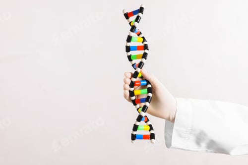 Preview: Scientist holding DNA structure model on white background, closeup. Space for text