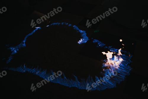 Preview: High angle shot of a burning heart with blue fire