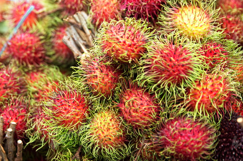 Preview: Sweet delicious rambutan fruits.