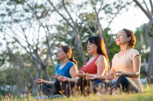 Preview: Women practicing yoga meditation outdoors in sunny park