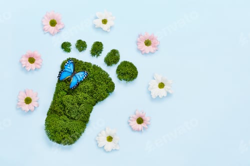 Preview: Creative eco, environmental care, earth day concept. Barefoot footprint made of natural green moss,