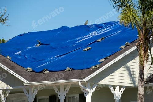 Preview: Damaged in hurricane Ian house roof covered with blue protective tarp against rain water