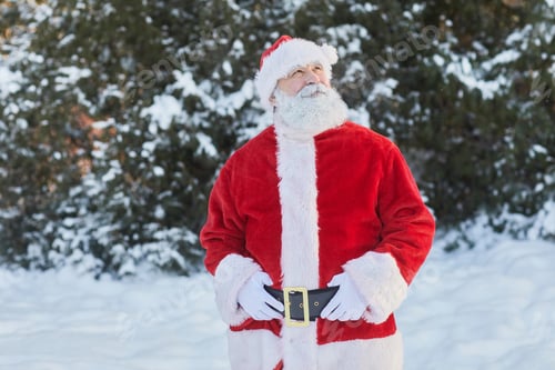 Preview: Santa Claus in Forest