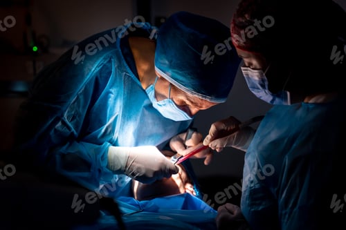 Preview: Dental clinic, dentist doctor and the assistant performing an oral operation