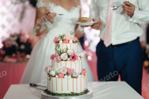 Preview: newlyweds happily cut and taste the wedding cake