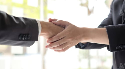 Preview: The businessmen shake hands after the meeting was successful and agreed upon