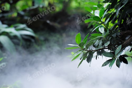 Preview: Selective focus on the branches of the trees with fog and blurred forest in background.