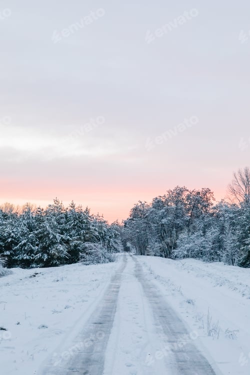 Preview: Scenic Sunset Snow-Covered Forest In Winter Season. Christmas Background.