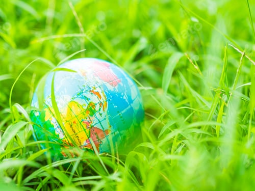 Preview: Earth Environment Concept, Globe on Green Grass Forest Background