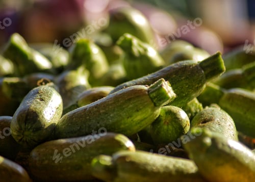 Preview: Fresh organic zucchini like healthy vegetables called marrow squash for sale at local farmers market