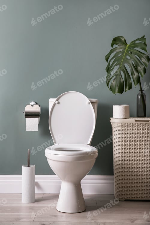 Preview: New ceramic toilet bowl in modern bathroom
