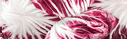 Preview: panoramic shot of fresh red cabbage textured leaves