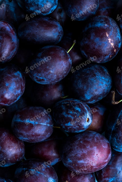 Preview: Plum Fruits Background. Purple Plums OrganicAutumn Season Crop