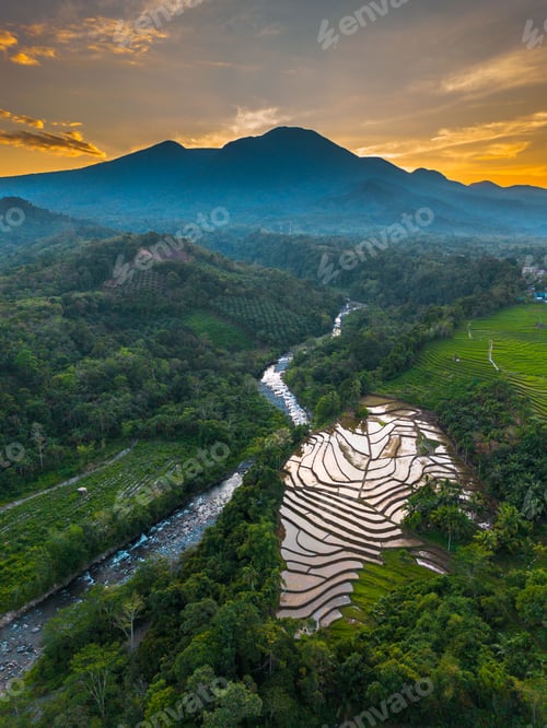 Preview: Beautiful morning view indonesia panorama landscape paddy fields