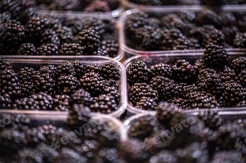 Preview: Display of fresh black berries at the weekend farmer's market
