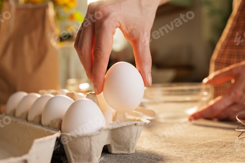Preview: Hand taking out egg from egg carton in kitchen