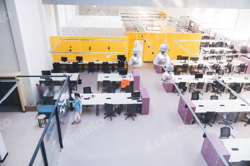 Preview: Aerial view of modern workspace with lady analyzing chart on glass wall in office