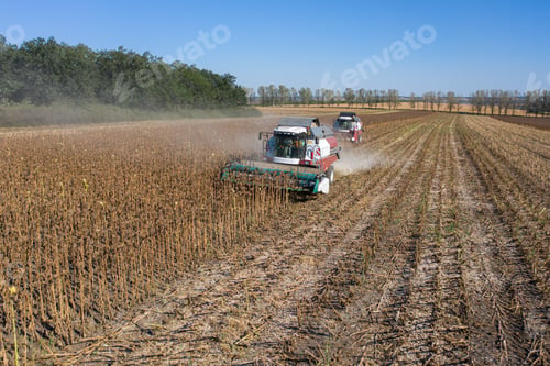 Preview: Harvesting of sunflower seeds, aerial view